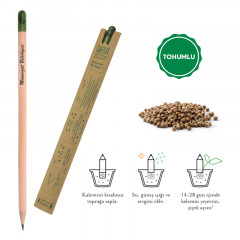 569 Ahşap Tohumlu Naturel Kurşun Kalem 569 Ahşap Tohumlu Naturel Kurşun Kalem